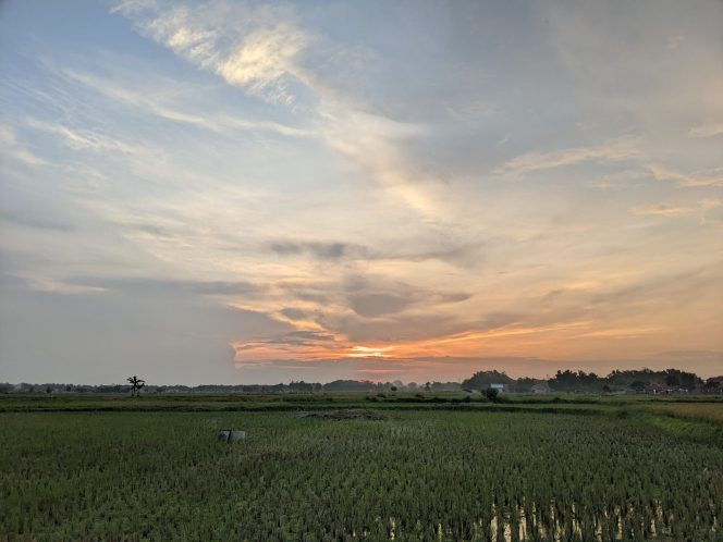 
					Foto oleh Ikrar Izzul Haq/Sivitas Kothèka
