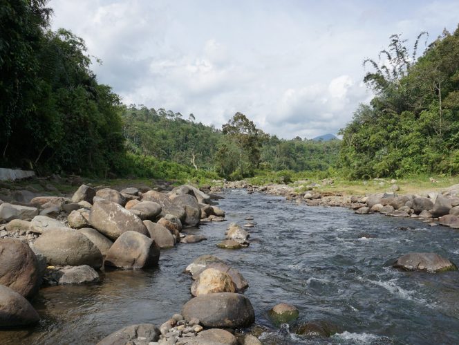 
					Foto oleh Asief Abdi/Sivitas Kothèka 