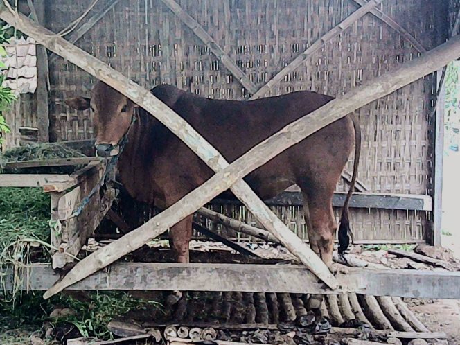 
					Foto oleh Zainal A. Hanafi/Sivitas Kothèka