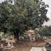Foto oleh Ikrar Izzul Haq/Sivitas Kothèka