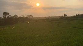 Foto oleh Putri Tariza/Sivitas Kothèka