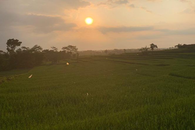 
					Foto oleh Putri Tariza/Sivitas Kothèka