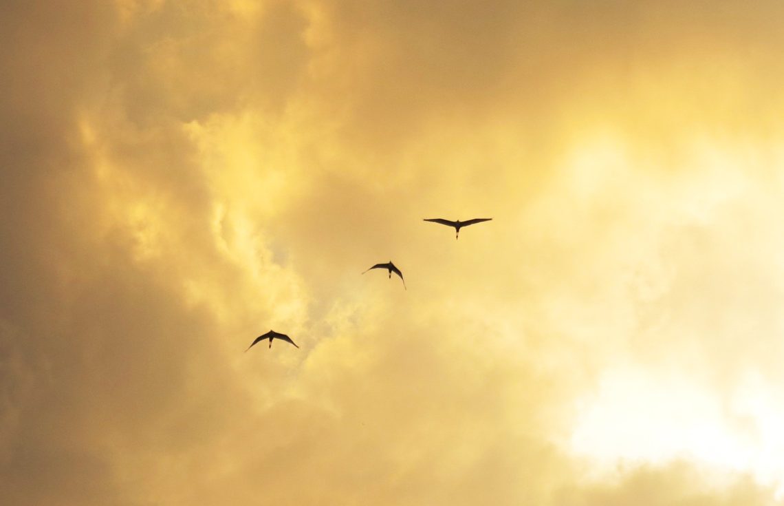 mencari surga dalam peta