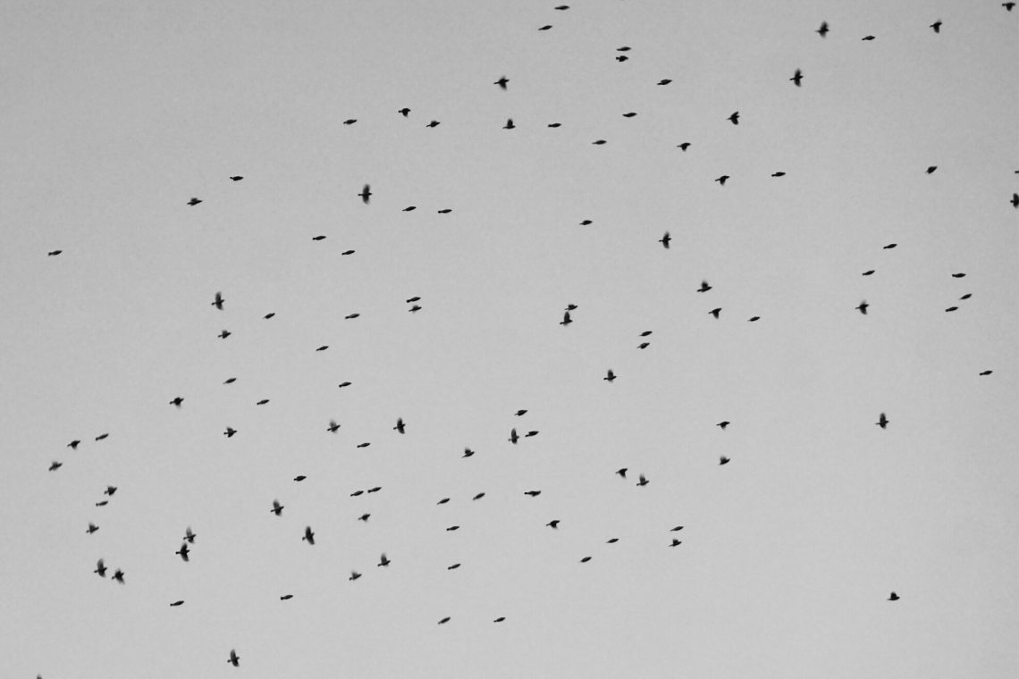 dari verbal ke visual